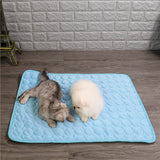 Tapis de Thérapie Rafraîchissant pour Chien
