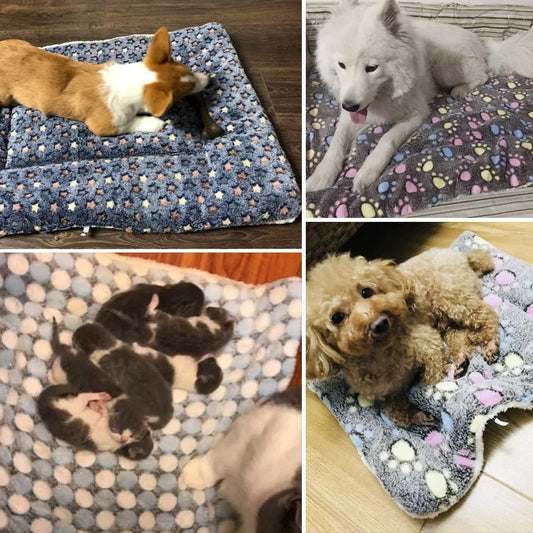 Couverture en Fleece Doux pour Chiens