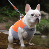 Veste d'Été Rafraîchissante pour Chien