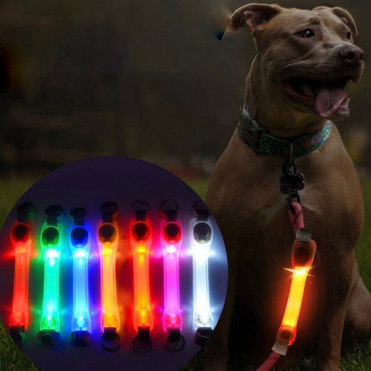 Collier LED de Sécurité pour Chiens Lumineux