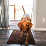 Tapis CleanPaw | Tapis d'entrée pour chiens