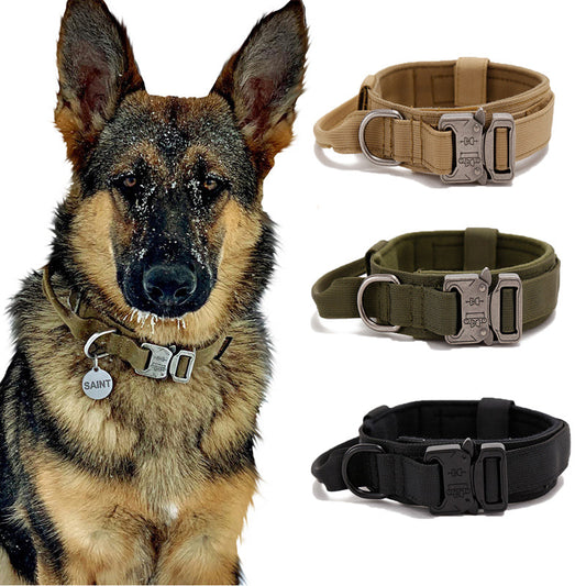 Collier Durable pour Chiens avec Boucle Robuste pour Chiens Forts