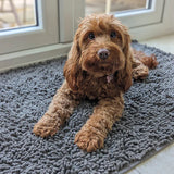 Tapis CleanPaw | Tapis d'entrée pour chiens