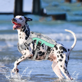 Harnais Réfléchissant d'Été pour Chien