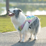 Gilet rafraîchissant pour chien Ademend Protection contre la chaleur Ouverture pour harnais réfléchissant réglable Disponible en plusieurs tailles