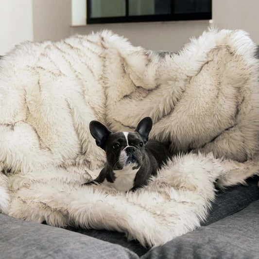 Couverture Imperméable pour Chien en Peluche Imitation Fourrure Protège les Meubles et les Lits pour Chiens