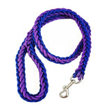 Laisse en Nylon Robuste pour Chiens Grands et Moyens