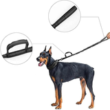 Collier Durable pour Chiens avec Boucle Robuste pour Chiens Forts