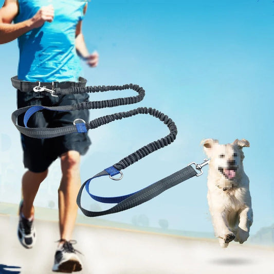 Laisse Élastique Réfléchissante pour Chiens sans Mains