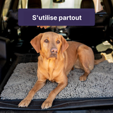 Tapis CleanPaw | Tapis d'entrée pour chiens