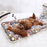 Couverture en Fleece Doux pour Chiens