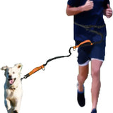 Laisse Élastique Réfléchissante pour Chiens sans Mains