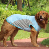 Veste Refroidissante pour Chiens Légère et Séchage Rapide