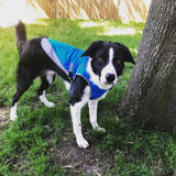 Gilet rafraîchissant pour chien Ademend Protection contre la chaleur Ouverture pour harnais réfléchissant réglable Disponible en plusieurs tailles