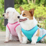 Veste Refroidissante pour Chiens Légère et Séchage Rapide