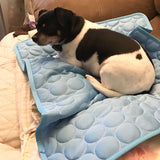Tapis Autonome Refroidissant pour Chiens avec Côté Glacé Lavable et Pliable pour les Jours d'Été