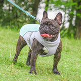 Gilet Refroidissant pour Chiens avec Protection UV Léger et Ajustable