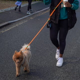 Laisse de chien mains libres en nylon pour une promenade facile