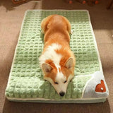 Coussin de Sommeil Orthopédique Doux pour Chiens avec Housse Lavable