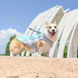 Gilet Refroidissant pour Chiens avec Protection UV Léger et Ajustable