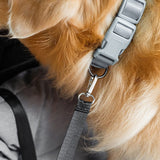 Caisse de Voyage Orthopédique pour Chiens Grande