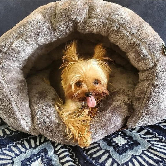 Lit pour chien confortable en forme de grotte