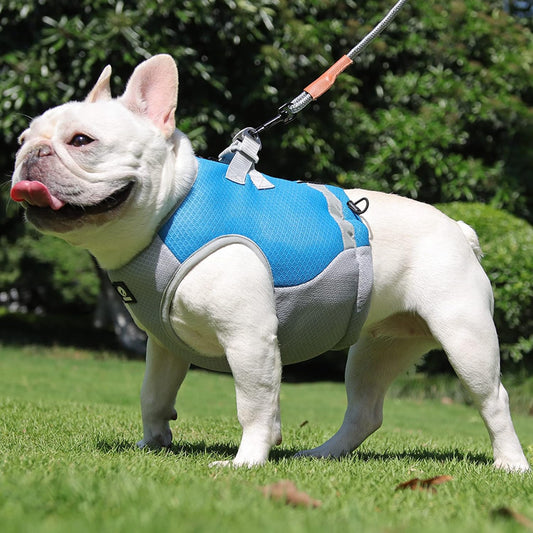 Veste d'Été Rafraîchissante pour Chien