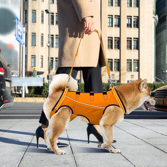 Harnais de Soutien pour Chiens en Récupération Artrose & Opérations
