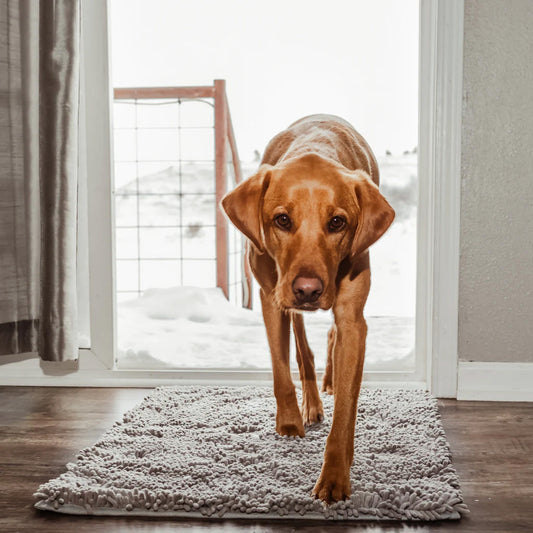 Tapis CleanPaw | Tapis d'entrée pour chiens