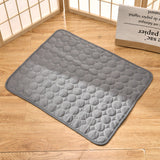 Tapis de Thérapie Rafraîchissant pour Chien