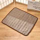 Tapis de Thérapie Rafraîchissant pour Chien