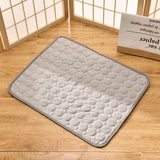 Tapis de Thérapie Rafraîchissant pour Chien