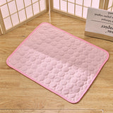 Tapis de Thérapie Rafraîchissant pour Chien