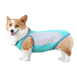 Veste Refroidissante pour Chiens Légère et Séchage Rapide