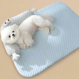 Tapis Refroidissant en Soie avec Coussin