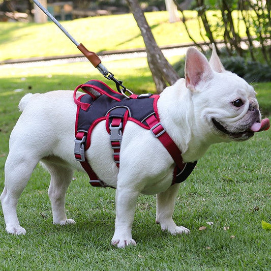 Harnais pour chien Anti-fuite Réglable avec Poignée Réfléchissant