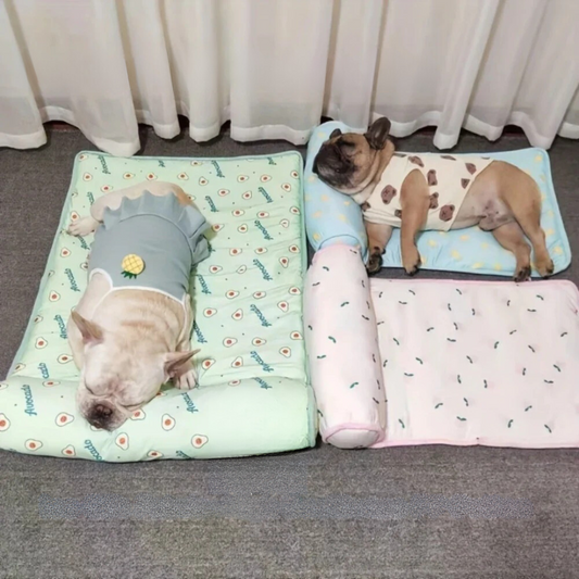 Lit pour Chien Rafraîchissant avec Coussin Auto-Rafraîchissant Confortable en Peluche Soutien Léger Portable