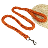 Laisse en Nylon Robuste pour Chiens Grands et Moyens