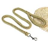 Laisse en Nylon Robuste pour Chiens Grands et Moyens