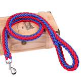 Laisse en Nylon Robuste pour Chiens Grands et Moyens