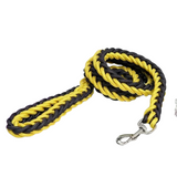 Laisse en Nylon Robuste pour Chiens Grands et Moyens