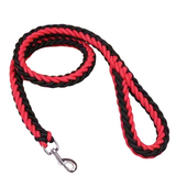 Laisse en Nylon Robuste pour Chiens Grands et Moyens
