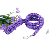 Laisse en Nylon Robuste pour Chiens Grands et Moyens