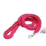 Laisse en Nylon Robuste pour Chiens Grands et Moyens