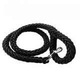 Laisse en Nylon Robuste pour Chiens Grands et Moyens