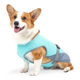 Gilet Rafraîchissant Pour Chiens Conception Multicouche Ajustable Réfléchissant Protection Contre la Surchauffe