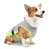 Gilet Rafraîchissant Pour Chiens Conception Multicouche Ajustable Réfléchissant Protection Contre la Surchauffe