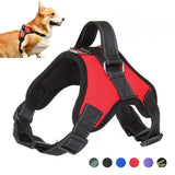 Tucker™ | Harnais Anti-Tirage Réfléchissant pour Chien