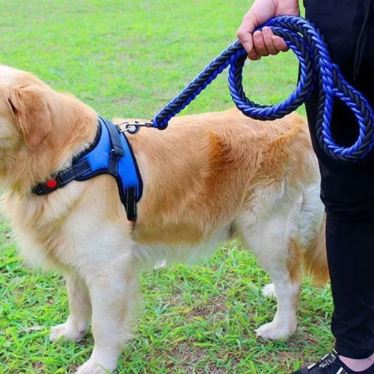 Laisse en Nylon Robuste pour Chiens Grands et Moyens