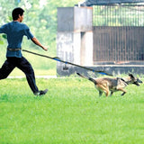 Laisse Élastique Réfléchissante pour Chiens sans Mains